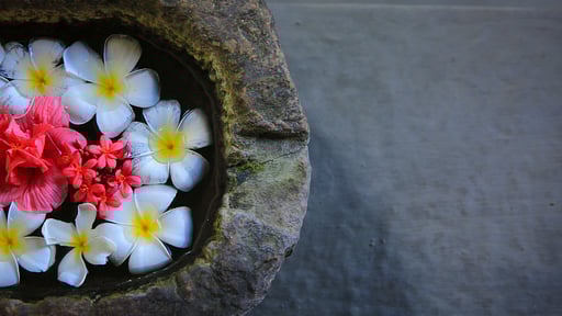 Villa South Point Andere