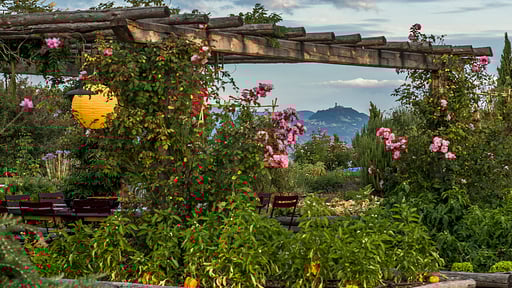 Villa Sovrano Umgebung