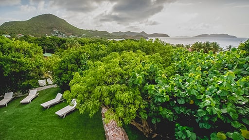 Villa Stellae Garten