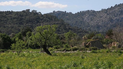 Villa Suari Прочее