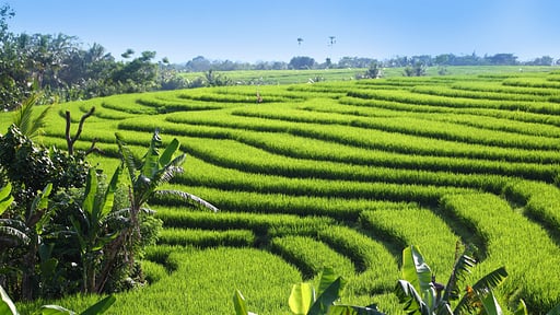 Villa Tangguntiti Surroundings
