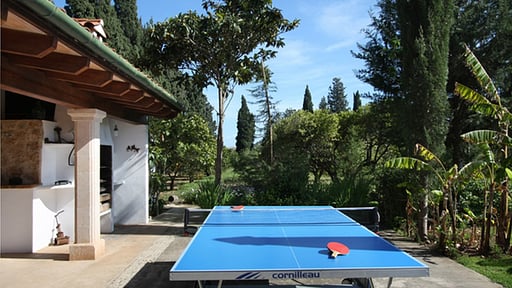 Villa Taupe 3 Table tennis