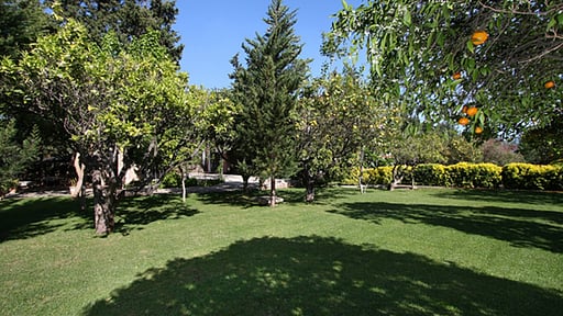 Villa Taupe 3 Garden