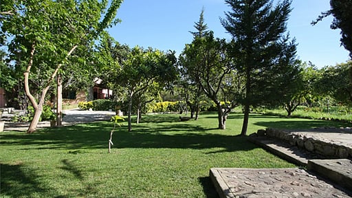 Villa Taupe 3 Garden