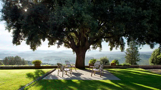 Villa Tavernaccia Garden