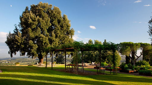 Villa Tavernaccia Garden
