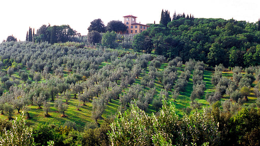 Villa Tavernaccia Surroundings
