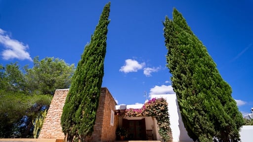 Villa Teguano Others