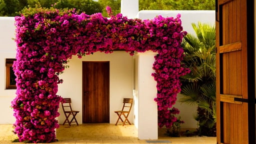 Villa Teguano Others