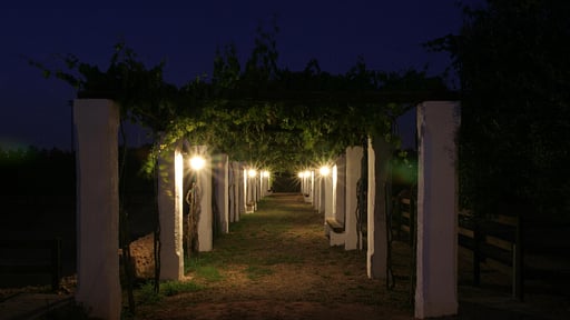 Villa Tenuta Aphrodite Others