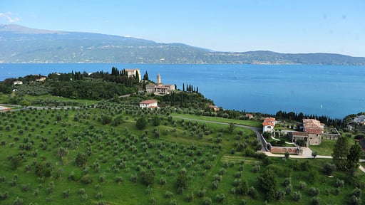 Villa Teodora Others