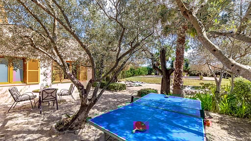 Villa Teresa Suau Billiard