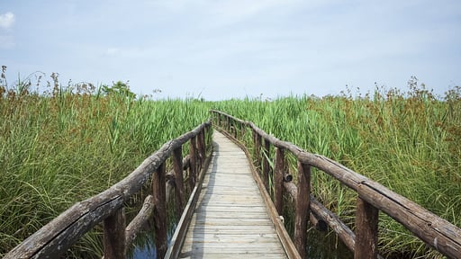 Villa The Gargoyles Autres