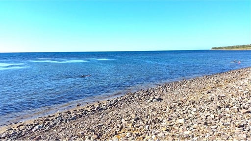 Villa Tonnare Others