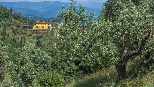 Villa Topazio Others