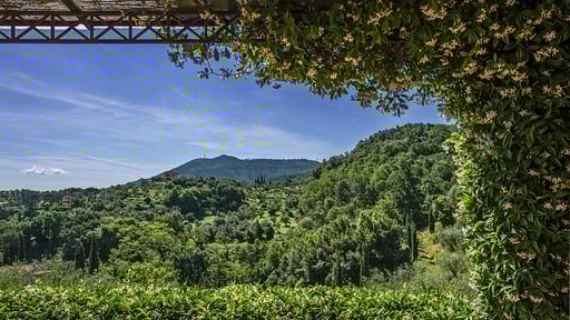 Villa Topazio Others