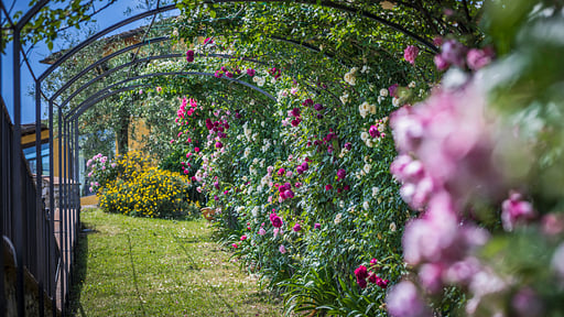 Villa Topazio Garden