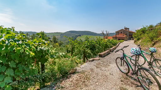 Villa Torre Delle Rose Others