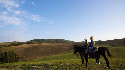 Villa Torre Delle Rose Others