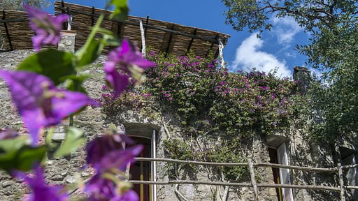 Villa Torrette Others