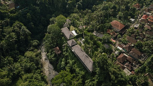 Villa Tree Top Drone pictures