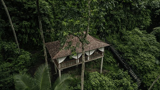 Villa Tree Top Drone pictures