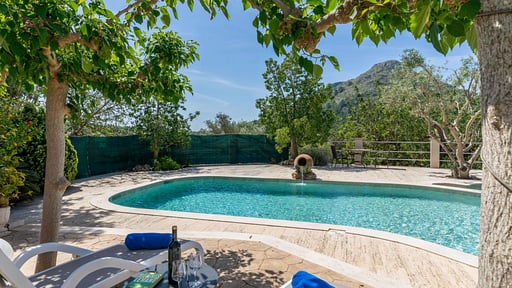 Villa Tropica Piscine