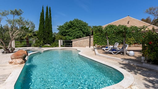 Villa Tropica Piscine