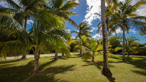 Villa Truffle Garden