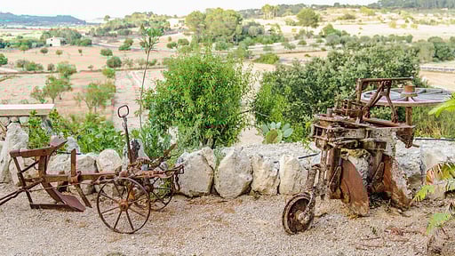 Villa Turis Divina Garden