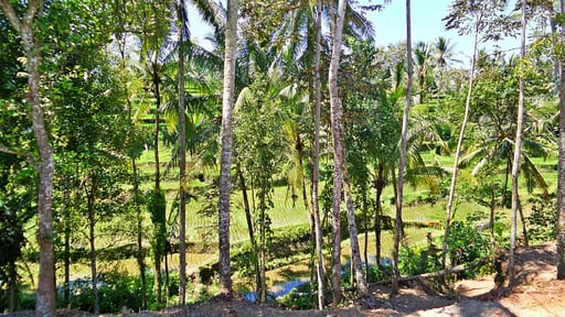 Villa Umah Jae Alrededores