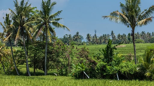 Villa Umah Wa Ke Surroundings
