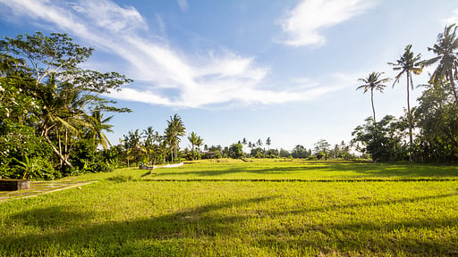 Villa Vajra Surroundings