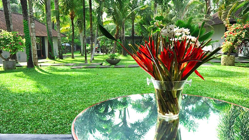 Villa Valentine Others