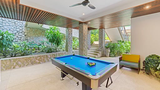 Villa Varya Billiard