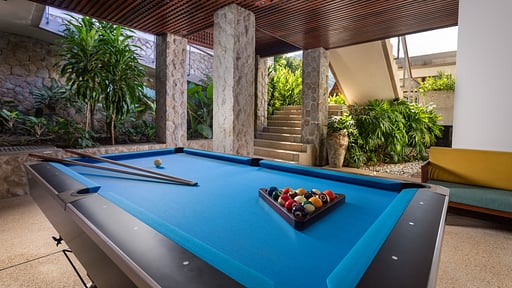 Villa Varya Billiard