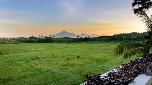 Villa Vedas Surroundings