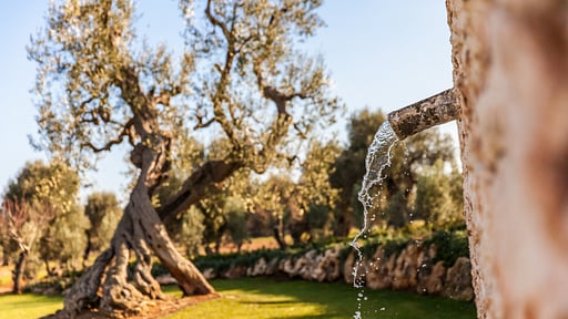 Villa Verdemare Garden
