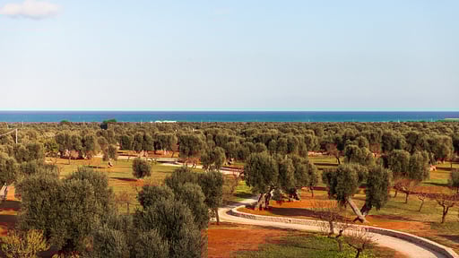 Villa Verdemare Others