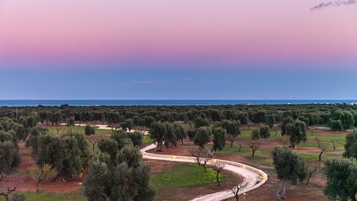 Villa Verdemare Others