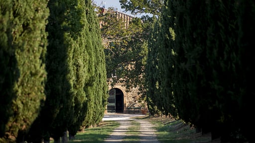 Villa Verdeto Garden