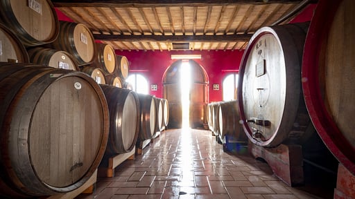 Villa Verdeto Others 