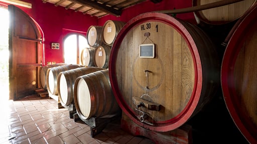 Villa Verdeto Others 