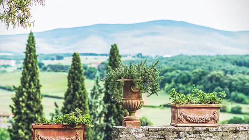 Villa Vinci Surroundings