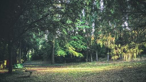 Villa Vinci Surroundings