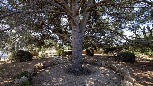 Villa Vinya Morna Andere