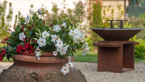 Villa Viola Lunigiana Autres