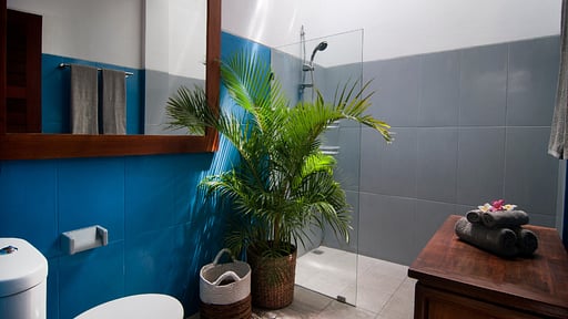 Villa Violetta Kerobokan Спальня 1