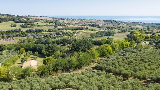 Villa Vitanova Surroundings