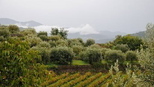 Villa Vitavera Others